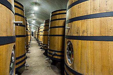 《黑色沙漠》手游iOS国服预计4月27日上线